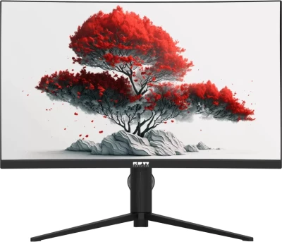 Монитор RDW Computers 27&quot; RDW2706C VA 2K 75Гц черный (RUS)