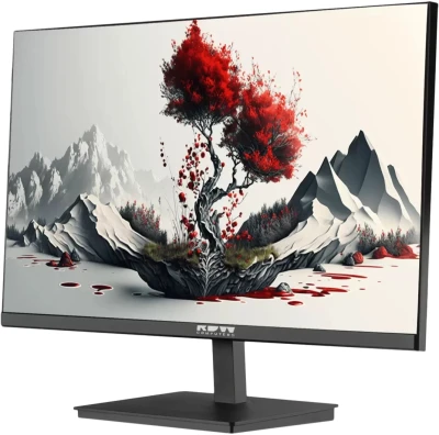 Монитор RDW Computers 23.8&quot; 2401K черный IPS 4ms 16:9 HDMI M/M матовая HAS Piv 1000:1 250.300cd 178гр/178гр 1920x1080 100Hz VGA DP 1.7кг (RUS)