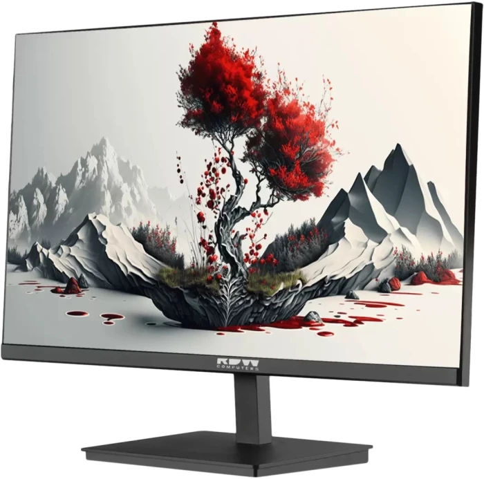 Монитор RDW Computers 23.8" 2401K черный IPS 4ms 16:9 HDMI M/M матовая HAS Piv 1000:1 250.300cd 178гр/178гр 1920x1080 100Hz VGA DP 1.7кг (RUS)