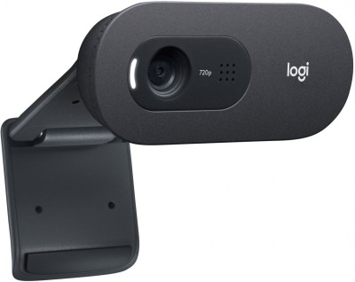 Камера Web Logitech WebCam C505e черный 1.2Mpix (1280x720) USB2.0 с микрофоном для ноутбука